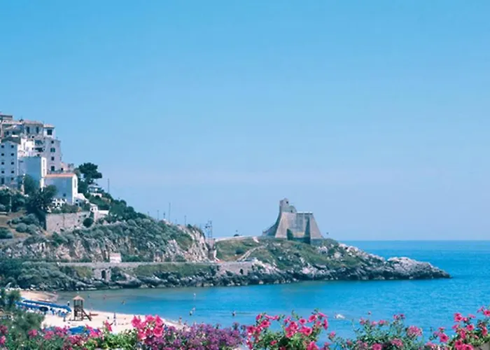 ホテル Amyclae 3*